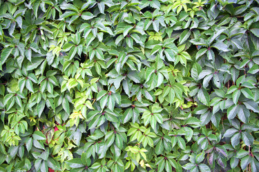 Similar image 7425536