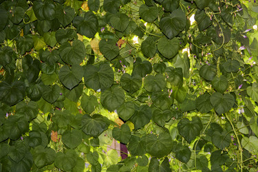 Similar image 7425549