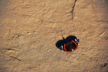 Similar image 7425551