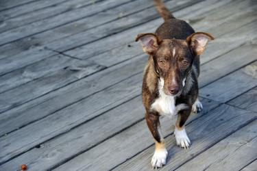 Similar image 7425555