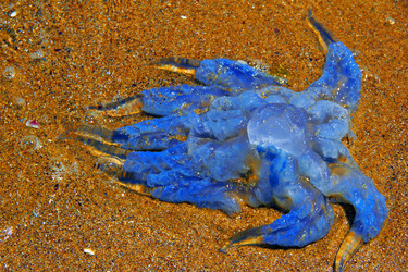 Similar image 7425558