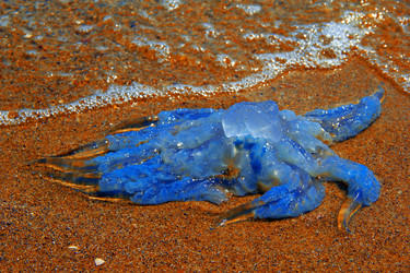 Similar image 7425561