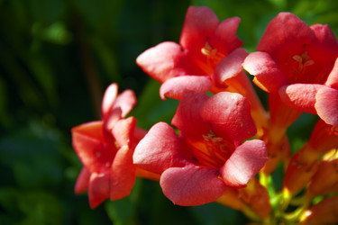 Similar image 7425563