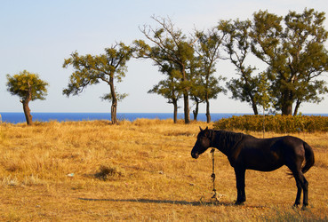 Similar image 7425564