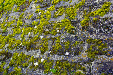 Similar image 7425572