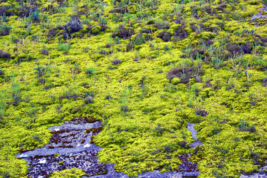 Similar image 7425576