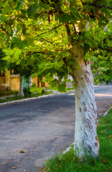 Similar image 7425577