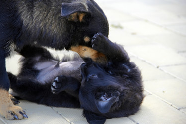 Similar image 7425580