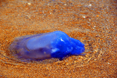 Similar image 7425583