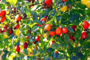 Similar image 7425587