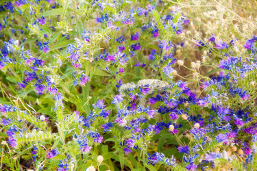 Similar image 7425604