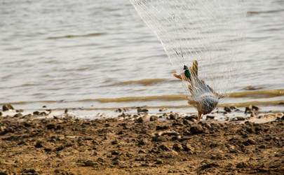 Similar image 7425610