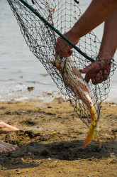 Similar image 7425612