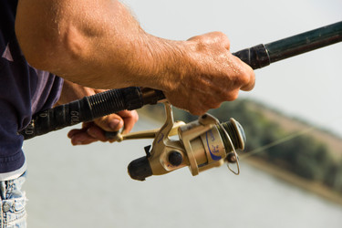 Similar image 7425613