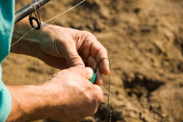 Similar image 7425614