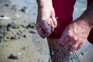 Similar image 7425616