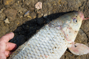 Similar image 7425617