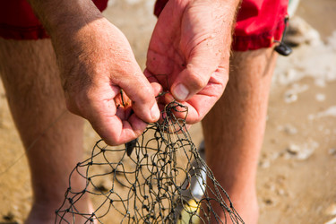 Similar image 7425619