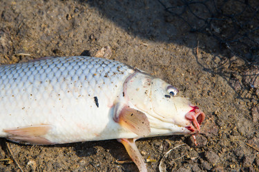 Similar image 7425620