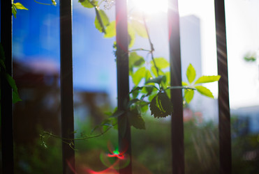 Similar image 7425630