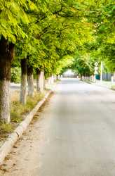 Similar image 7425646