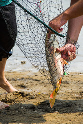 Similar image 7425651