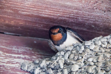 Similar image 7425653