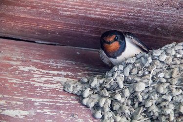 Similar image 7425654