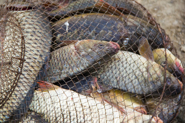 Similar image 7425663