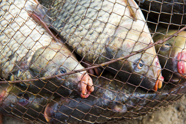 Similar image 7425666