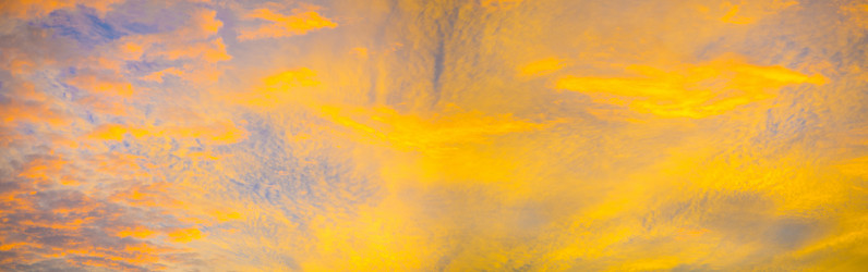 Similar image 7425840