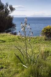 Similar image 7425846