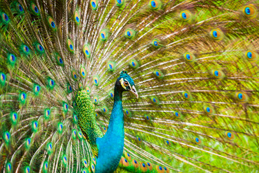 Similar image 7425869