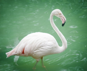 Similar image 7425872