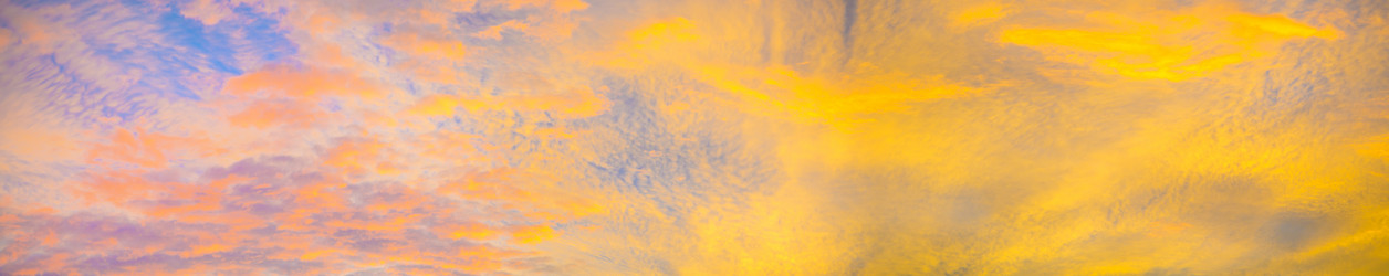 Similar image 7425907