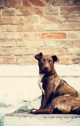 Similar image 7426046