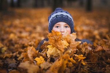 Similar image 7426051