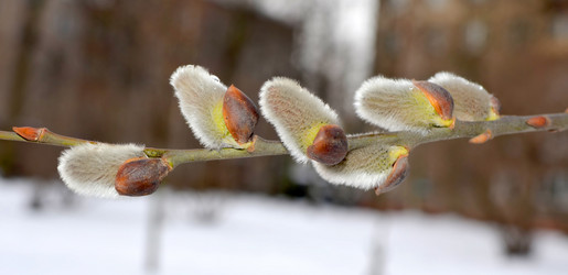 Similar image 7426056