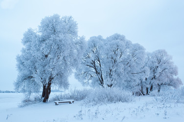 Similar image 7426076