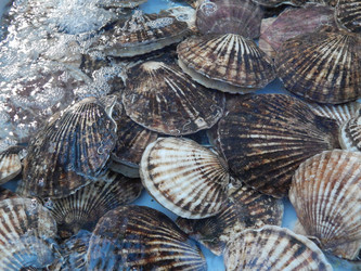 Similar image 7426123