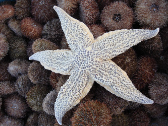 Similar image 7426124