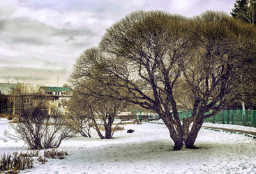 Similar image 7426127