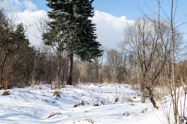 Similar image 7426132