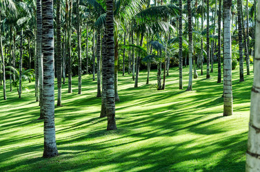 Similar image 7426143