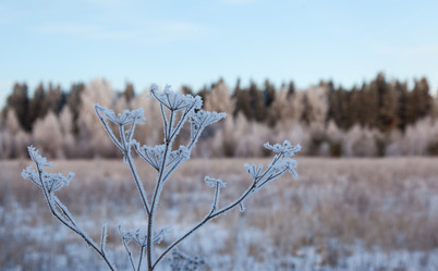 Similar image 7426162