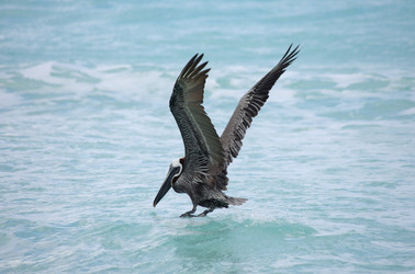 Similar image 7426164