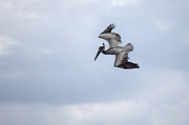 Similar image 7426166