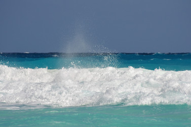 Similar image 7426169