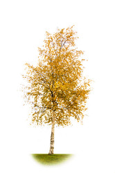 Similar image 7426221