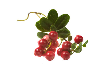 Similar image 7426223